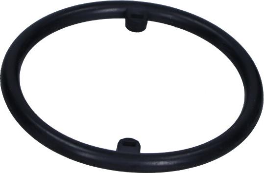 Maxgear 70-0115 - Tesnenie chladiča oleja parts5.com