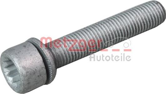 Metzger 6250007S - Βίδα, δαγκάνα φρένων parts5.com