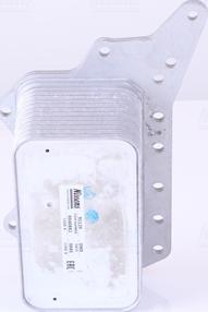 Nissens 91125 - Õliradiaator,mootoriõli parts5.com