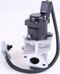 Nissens 98244 - Supapa EGR parts5.com