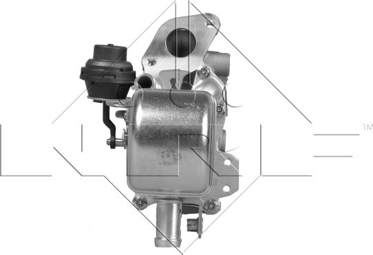 NRF 48208 - EGR Valve parts5.com