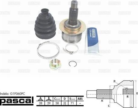 Pascal G1F060PC - Set articulatie, planetara parts5.com