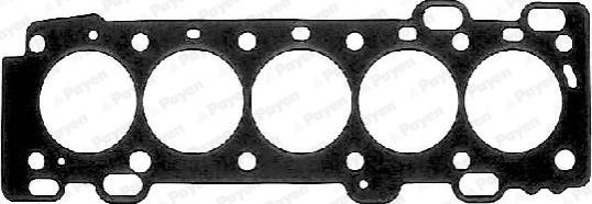 Payen AB5441 - Junta, culata parts5.com