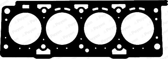 Payen AB5150 - Garnitura, chiulasa parts5.com