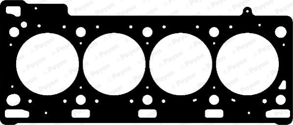 Payen AD5990 - Tihend,silindripea parts5.com