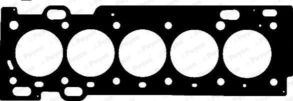 Payen AE5560 - Uszczelka, głowica cylindrów parts5.com