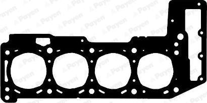 Payen AG6050 - Garnitura, chiulasa parts5.com