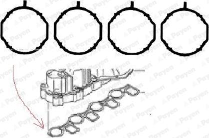 Payen HA5069 - Set garnituri, galerie admisie parts5.com