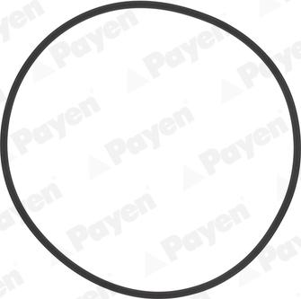 Payen HL5383 - Tömítéskészlet, hengerpersely parts5.com