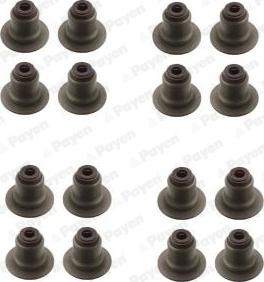 Payen HR5141 - Seal Set, valve stem parts5.com