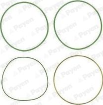 Payen HT018 - Set garnituri, bucsa cilindru parts5.com