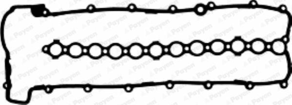 Payen JM5106 - Garnitura, capac supape parts5.com