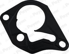 Payen KK5643 - Gasket, vacuum pump parts5.com