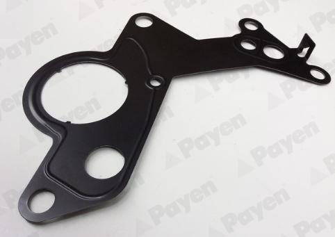 Payen KK5746 - Junta, bomba de combustible parts5.com