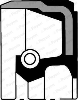 Payen NP067 - Simering, arbore cotit parts5.com