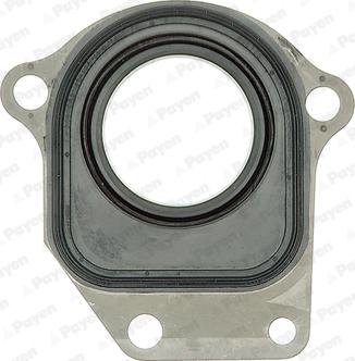 Payen NC044 - Shaft Seal, intermediate shaft parts5.com