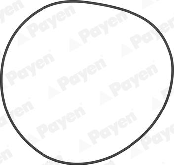 Payen PA708 - Уплътнение, риза на цилиндъра parts5.com