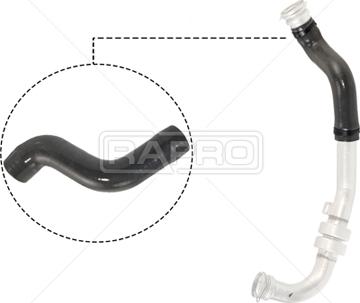 Rapro R12537 - Laadimisõhu voolik parts5.com