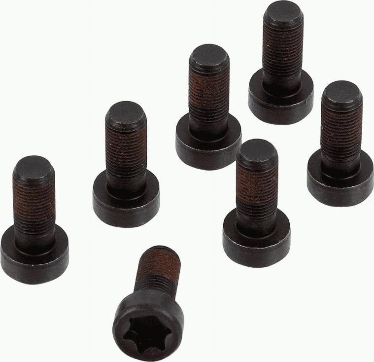 SACHS 1874 000 083 - Set surub, volanta parts5.com