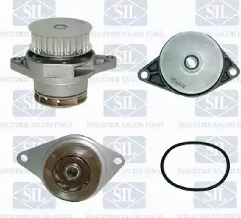 SALERI PA1060 - Vodna crpalka parts5.com