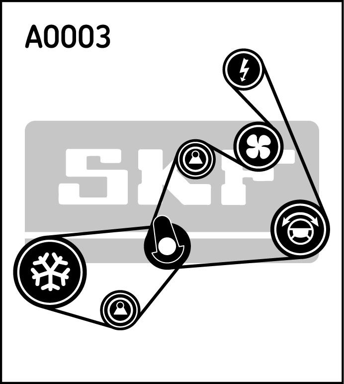 SKF VKMAF 31020-1 - Juego de correas trapeciales poli V parts5.com