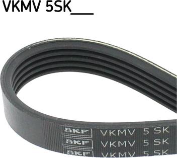 SKF VKMV 5SK628 - Curea transmisie cu caneluri parts5.com