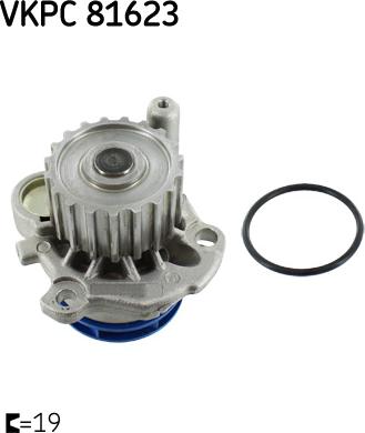 SKF VKPC 81623 - Water Pump parts5.com