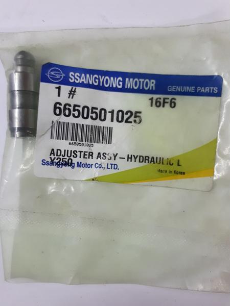 Ssangyong 66505-01025 - Culbutor supapa parts5.com