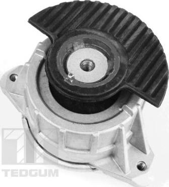 Tedgum 00418476 - Ulożenie motora parts5.com