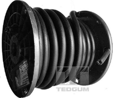 Tedgum 00814524 - Furtun combustibil parts5.com