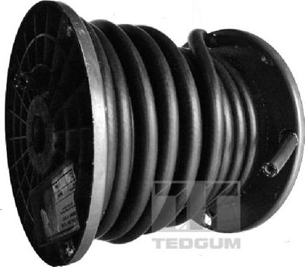 Tedgum 00816680 - Furtun combustibil parts5.com