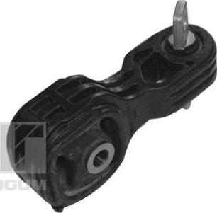 Tedgum 00269395 - Yataklama, motor parts5.com