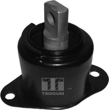 Tedgum 00260934 - Zavěšení motoru parts5.com