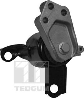 Tedgum 00228507 - Suport motor parts5.com