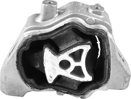 Tedgum TED46974 - Zavěšení motoru parts5.com