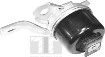 Tedgum TED40730 - Zavěšení motoru parts5.com