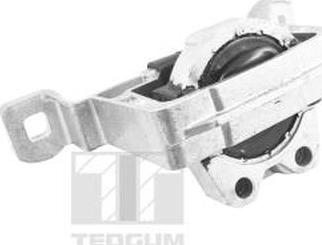 Tedgum TED24027 - Holder, engine mounting parts5.com