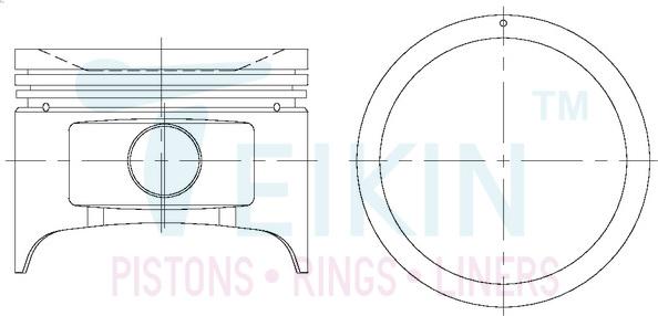 Teikin 44321.100 - Piston parts5.com