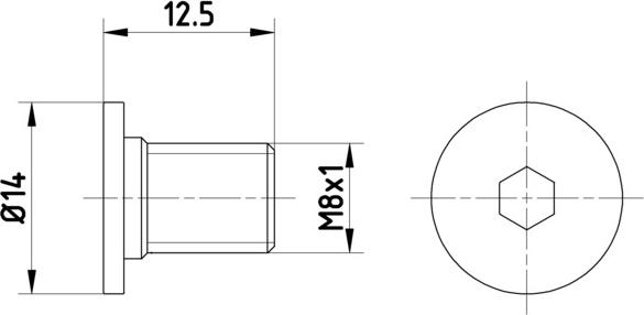 Textar TPM0002 - Surub, disc frana parts5.com