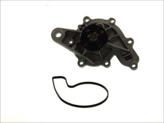 Thermotec D1M043TT - Water Pump parts5.com