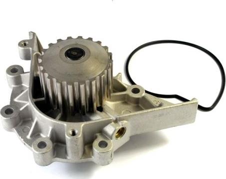 Thermotec D1P040TT - Water Pump parts5.com