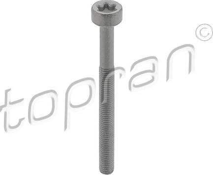 Topran 410287 - Surub, suport injector parts5.com