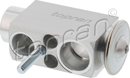 Topran 501 545 - Supapa expansiune, clima parts5.com