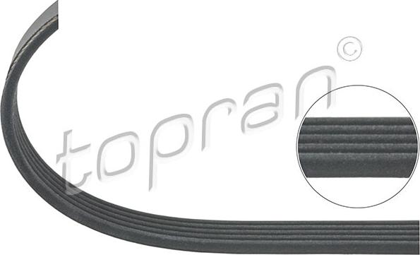 Topran 205 745 - Pasek klinowy wielorowkowy parts5.com