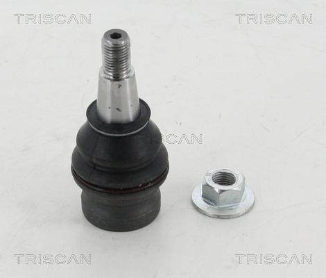 Triscan 8500 295135 - Nosilni zgib / vodilni zgib parts5.com