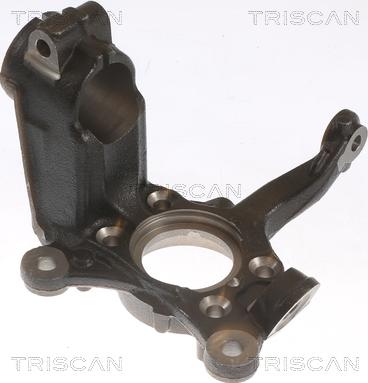 Triscan 8500 29712 - Muñón del eje, suspensión de rueda parts5.com