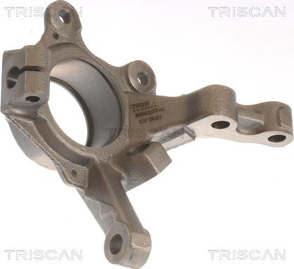 Triscan 8500 25702 - Aks başı, tekerlek bağlantısı parts5.com