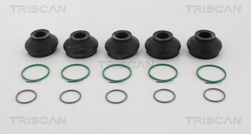 Triscan 8501 3817 - Ansamblu burduf, directie parts5.com