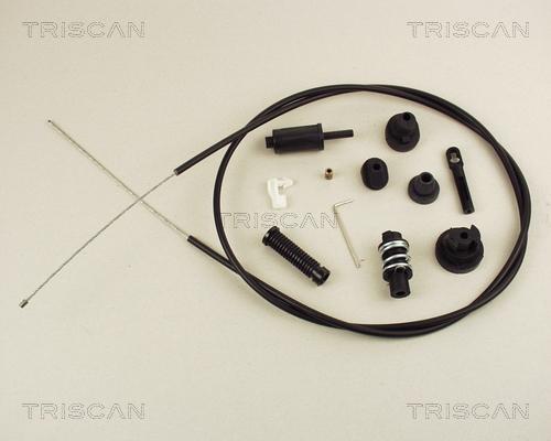 Triscan 8140 10306 - Cable del acelerador parts5.com