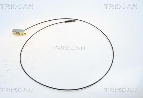 Triscan 8140 251101 - Żażné lanko parkovacej brzdy parts5.com